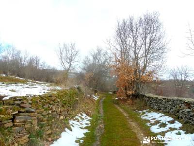 Hayedo Montejo; Reserva Biosfera Sierra Rincón; senderismo en madrid; viajes de senderismo